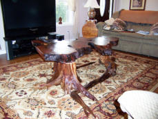 Rustic coffee table from unique piece of wood slab and wood burl.