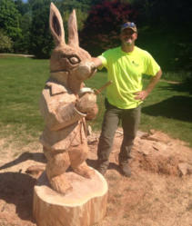 Animal Chainsaw Carving - Bear Chainsaw Carving - Eagle Chainsaw Carving